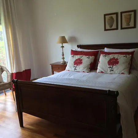 Daire Large Of Pico Da Bagacina *